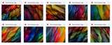 The Fantastic Feather Bundle - Meg Bitton Productions