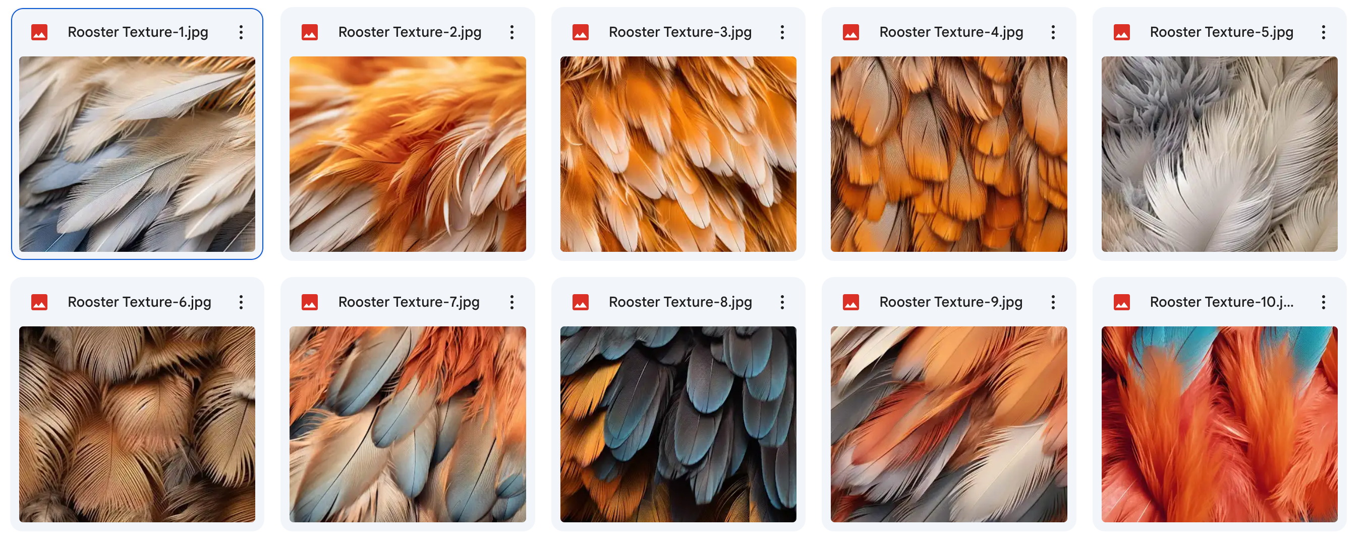 The Fantastic Feather Bundle - Meg Bitton Productions