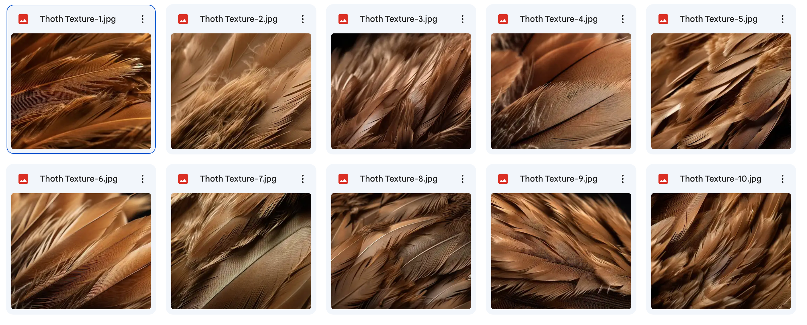 The Fantastic Feather Bundle - Meg Bitton Productions