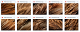 The Fantastic Feather Bundle - Meg Bitton Productions