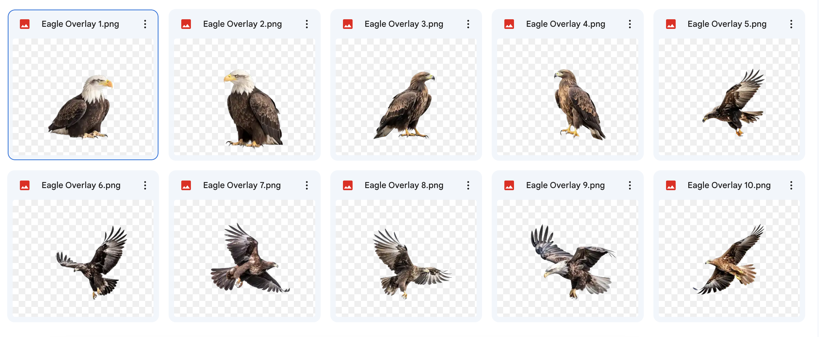 Magical Digital Overlay: Eagles - Meg Bitton Productions