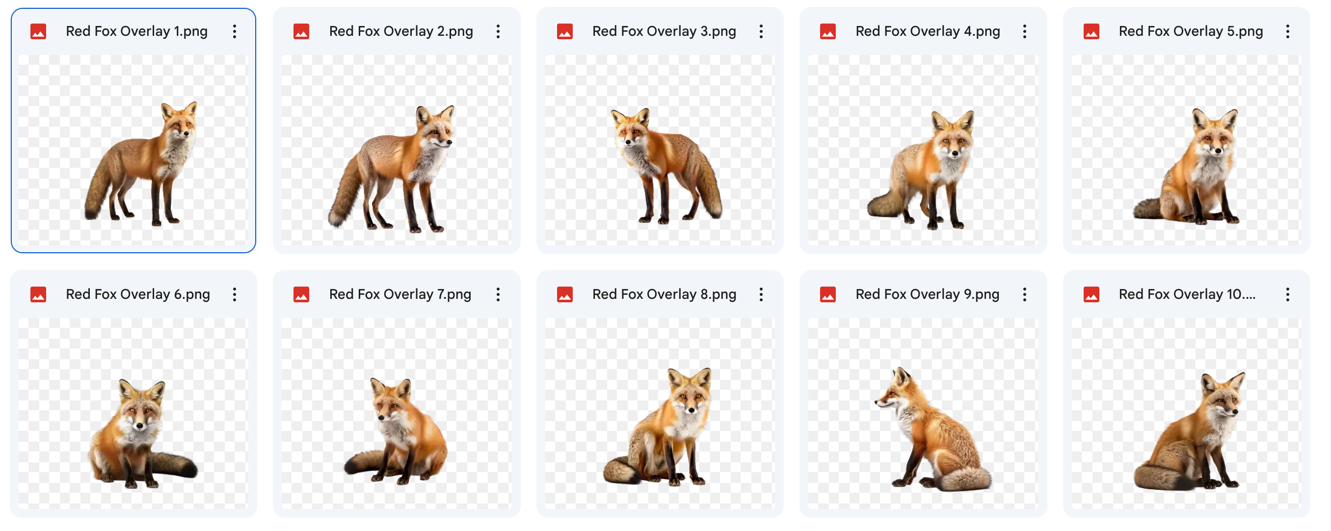 Magical Digital Overlays: Red Foxes - Meg Bitton Productions