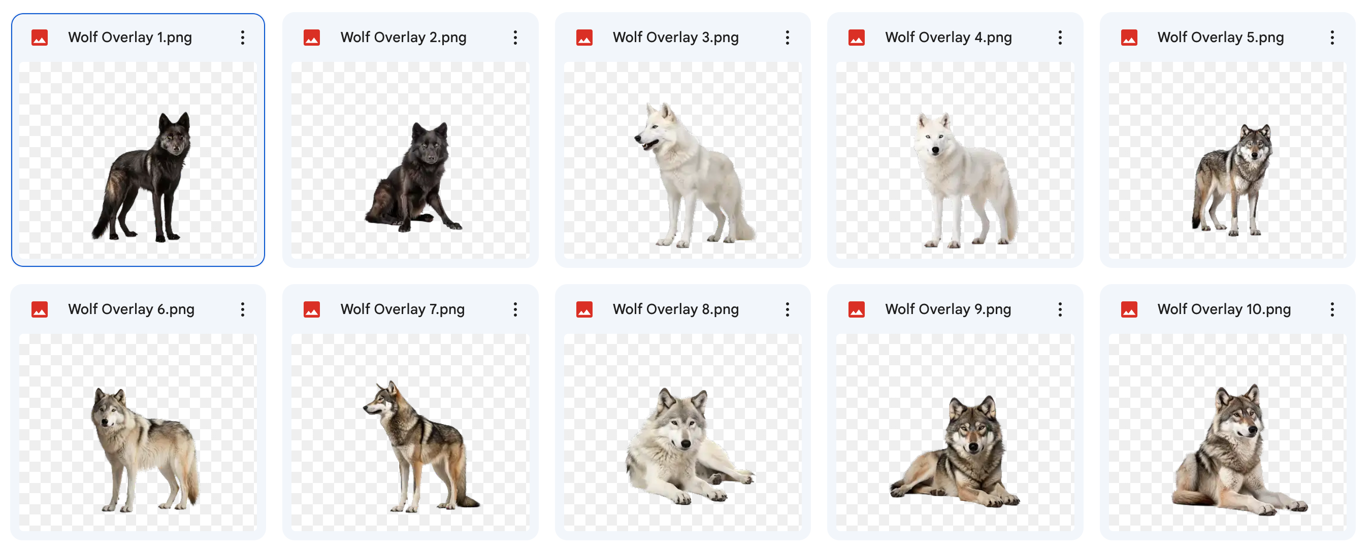 Magical Digital Overlays: Wolves - Meg Bitton Productions