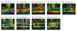 The Totally Awesome Tie Dye Bundle - Meg Bitton Productions
