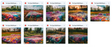 The Totally Awesome Tie Dye Bundle - Meg Bitton Productions