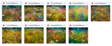 The Totally Awesome Tie Dye Bundle - Meg Bitton Productions