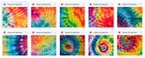 The Totally Awesome Tie Dye Bundle - Meg Bitton Productions
