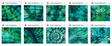 The Totally Awesome Tie Dye Bundle - Meg Bitton Productions