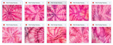 The Totally Awesome Tie Dye Bundle - Meg Bitton Productions
