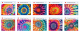The Totally Awesome Tie Dye Bundle - Meg Bitton Productions