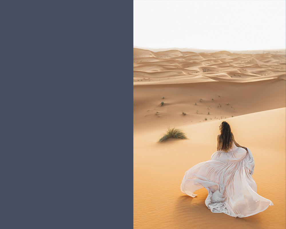 Morning Fog - Meg Bitton Productions