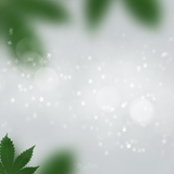 Magical 4/20 2020 Bundle - Meg Bitton Productions