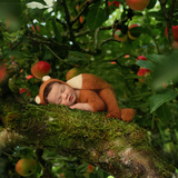 Digital Background: Apple Tree - Meg Bitton Productions