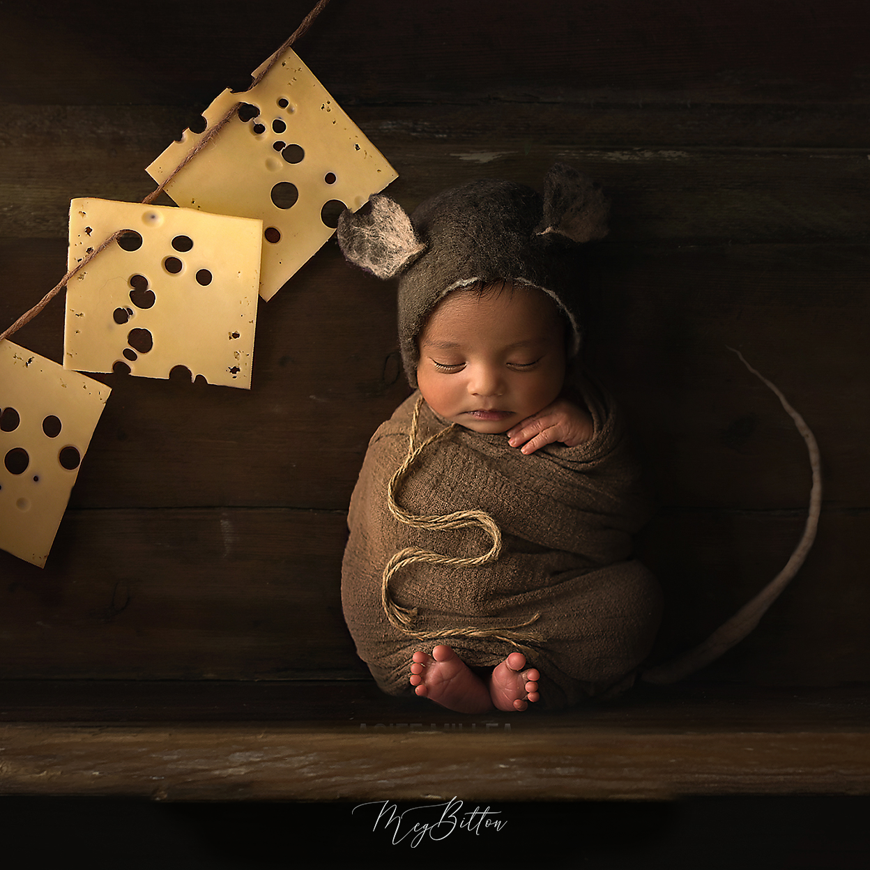 Digital Background: Cheese Shelf - Meg Bitton Productions