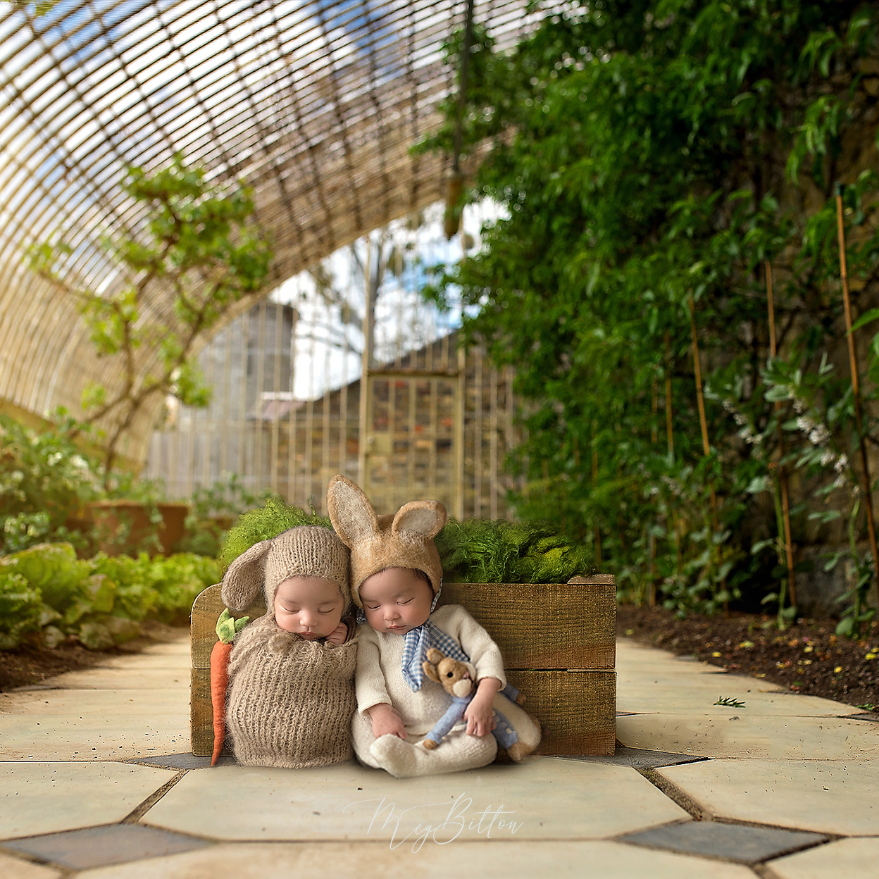 Digital Background: Greenhouse - Meg Bitton Productions