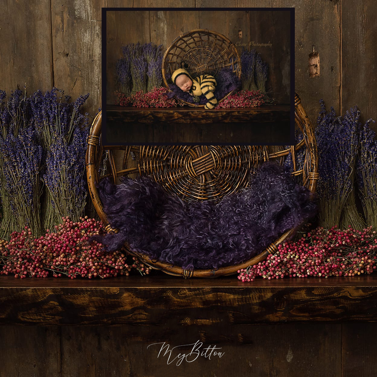 Digital Background: Heather Shelf - Meg Bitton Productions