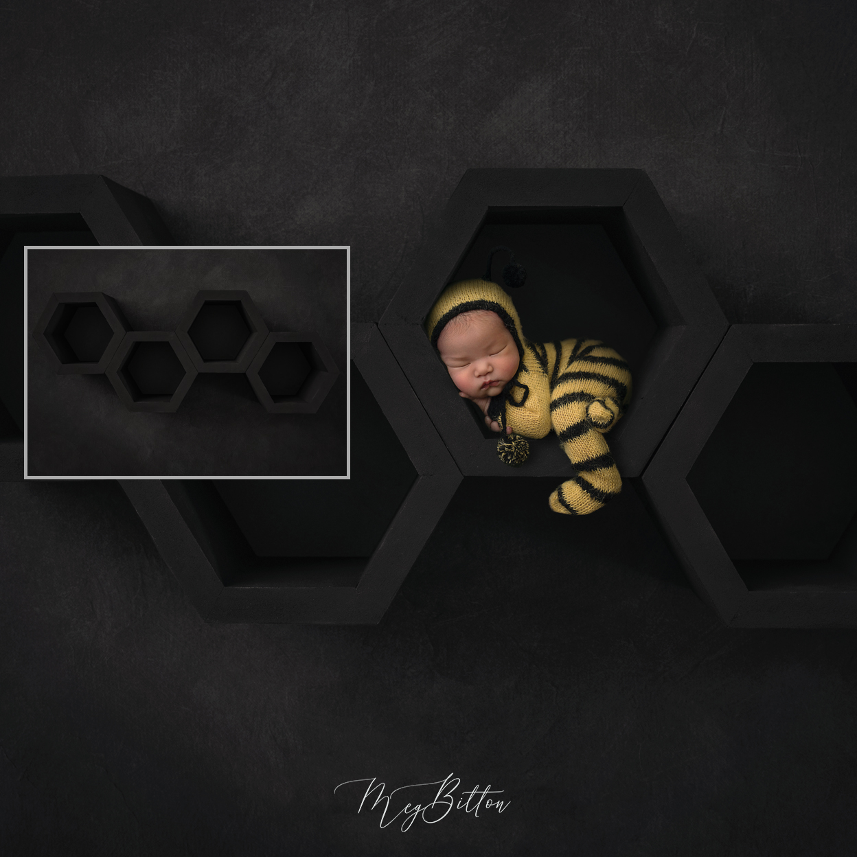 Digital Background: Honey Home - Meg Bitton Productions