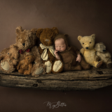 Digital Background: Bear Shelf - Meg Bitton Productions