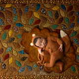 Digital Background: Vintage Autumn Quilt - Meg Bitton Productions