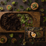 Digital Background: Succulents - Meg Bitton Productions