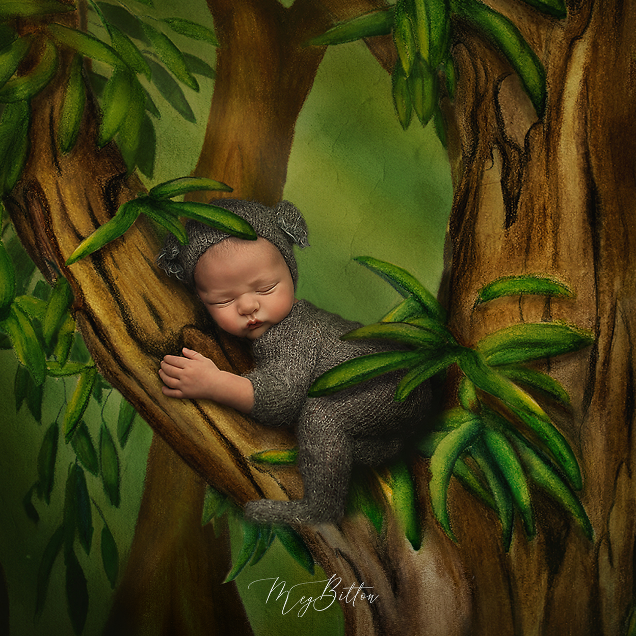 Digital Background: Tree Grove - Meg Bitton Productions