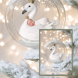 Digital Background: Winter Swan - Meg Bitton Productions