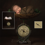Newborn Kit: Vintage Scales - Meg Bitton Productions