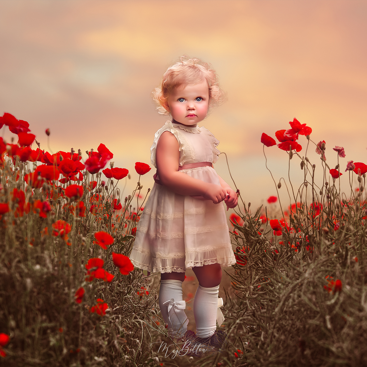 Red Color Toolkit - Meg Bitton Productions