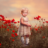 Red Color Toolkit - Meg Bitton Productions