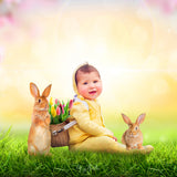 Cottontail Kit - Meg Bitton Productions