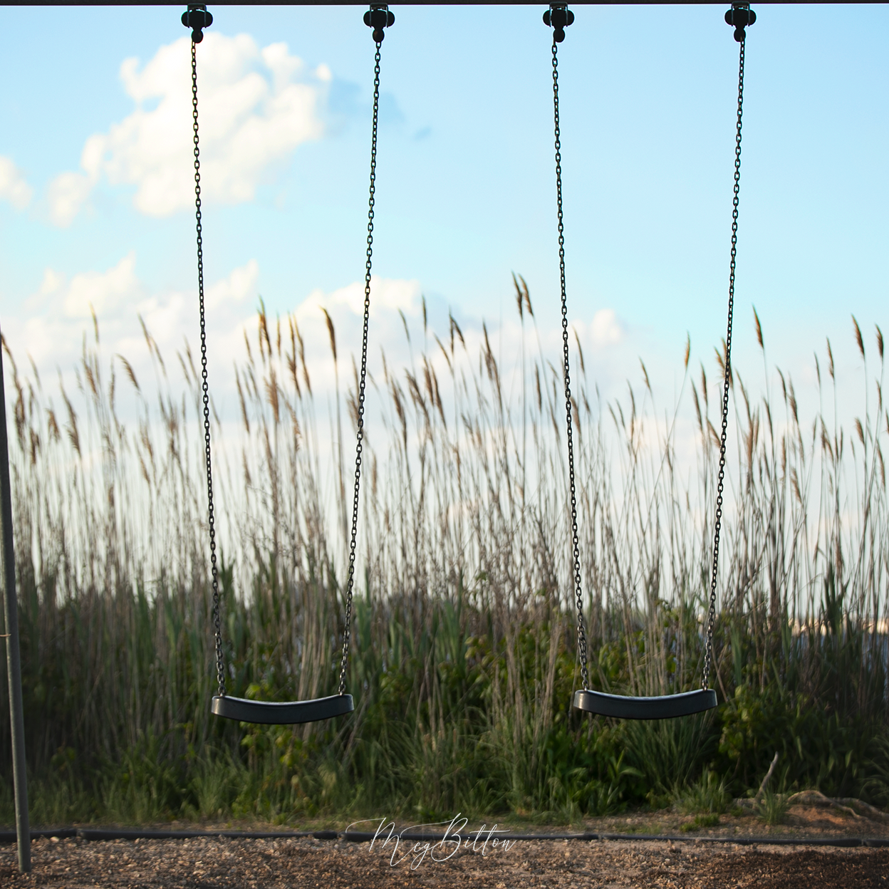 Digital Background: Beach Dune Swings - Meg Bitton Productions