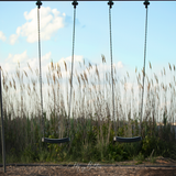 Digital Background: Beach Dune Swings - Meg Bitton Productions