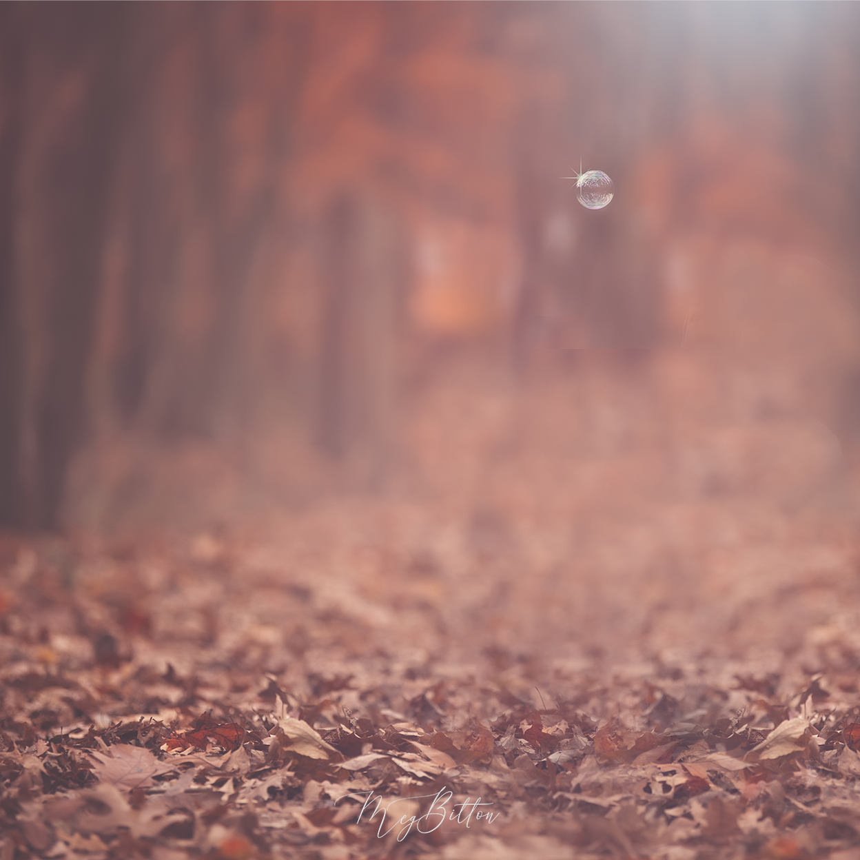 Digital Background: Bubble Forest - Meg Bitton Productions