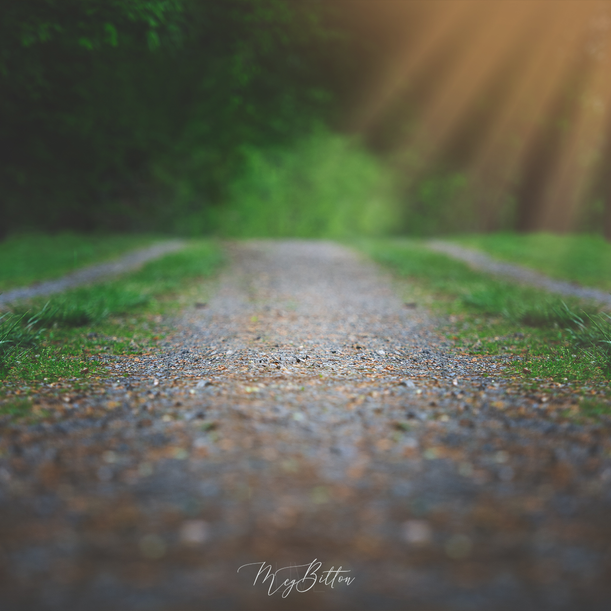Digital Background: Evening Road to Nowhere - Meg Bitton Productions