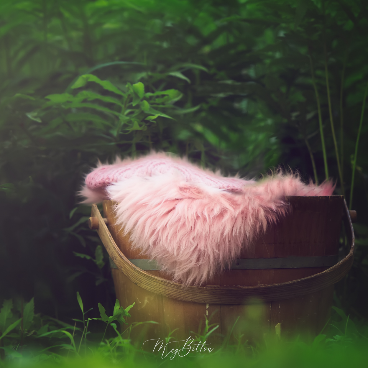 Digital Background: Forest Bucket - Meg Bitton Productions