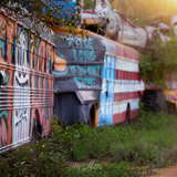Digital Background: Graffiti Bus - Meg Bitton Productions