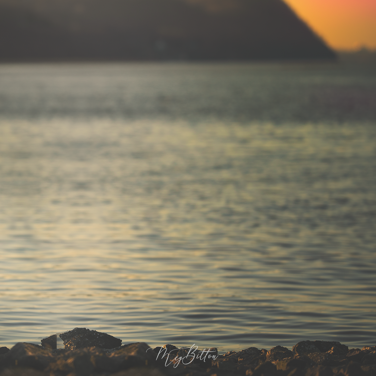 Digital Background: Hudson at Sunrise - Meg Bitton Productions