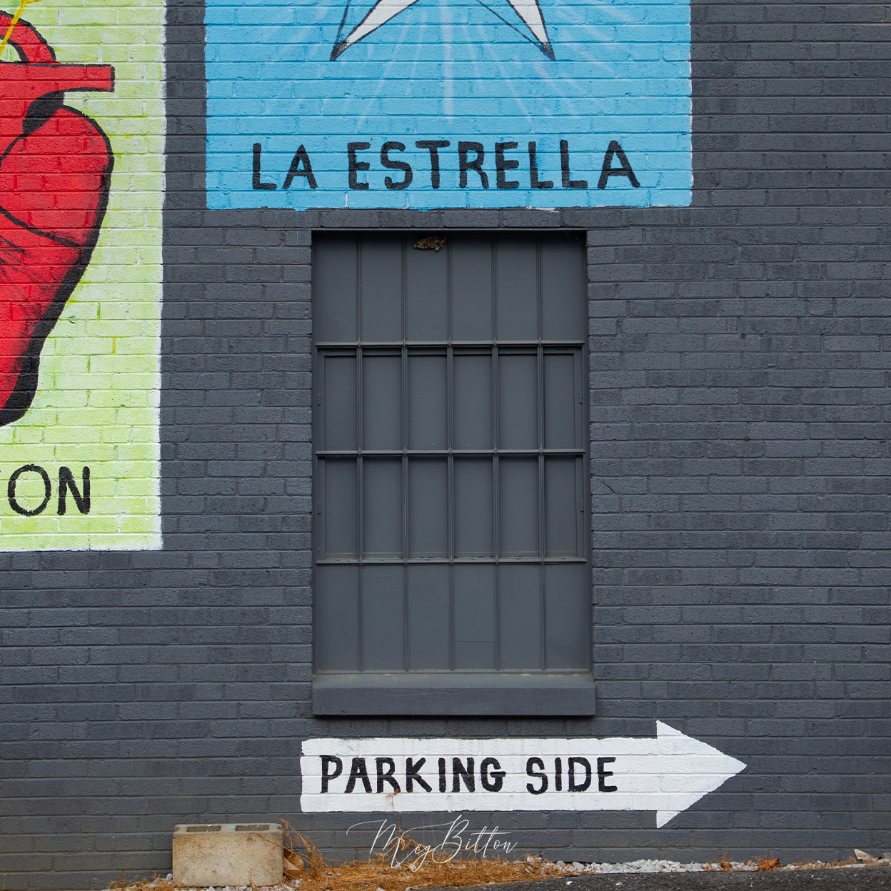 Digital Background: La Estrella - Meg Bitton Productions
