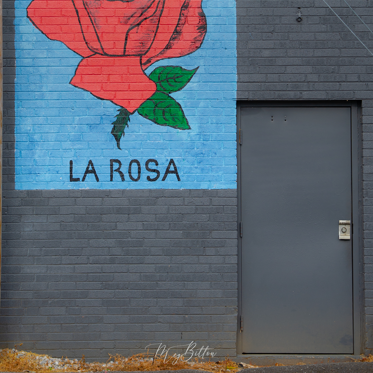 Digital Background: La Rosa - Meg Bitton Productions
