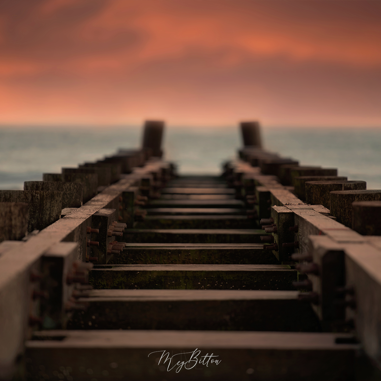 Digital Background: On the Pier - Meg Bitton Productions