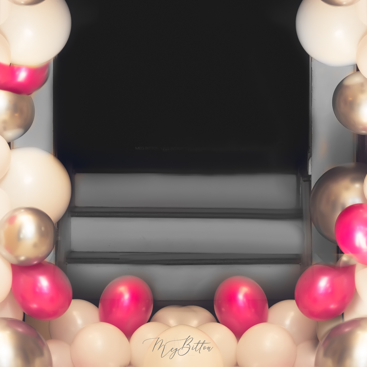 Digital Background: Party Entrance - Meg Bitton Productions