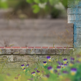 Digital Background: Rural Ruins - Meg Bitton Productions