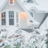 Digital Background: Snow Beauty - Meg Bitton Productions