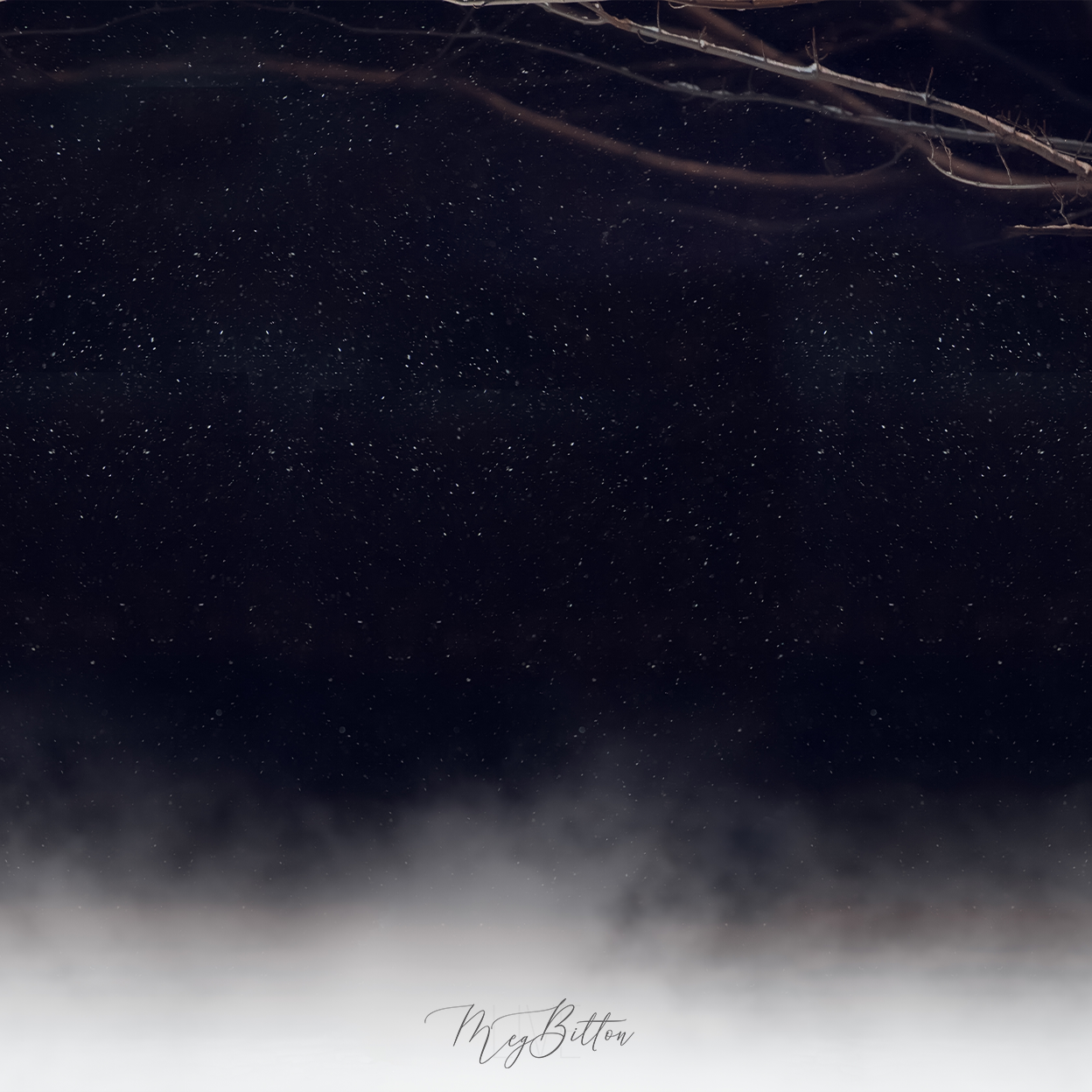 Digital Background: Snow Fog - Meg Bitton Productions