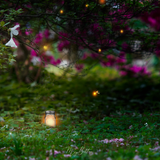 Digital Background: Summer Nights - Meg Bitton Productions