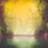 Digital Background: Sunset River - Meg Bitton Productions