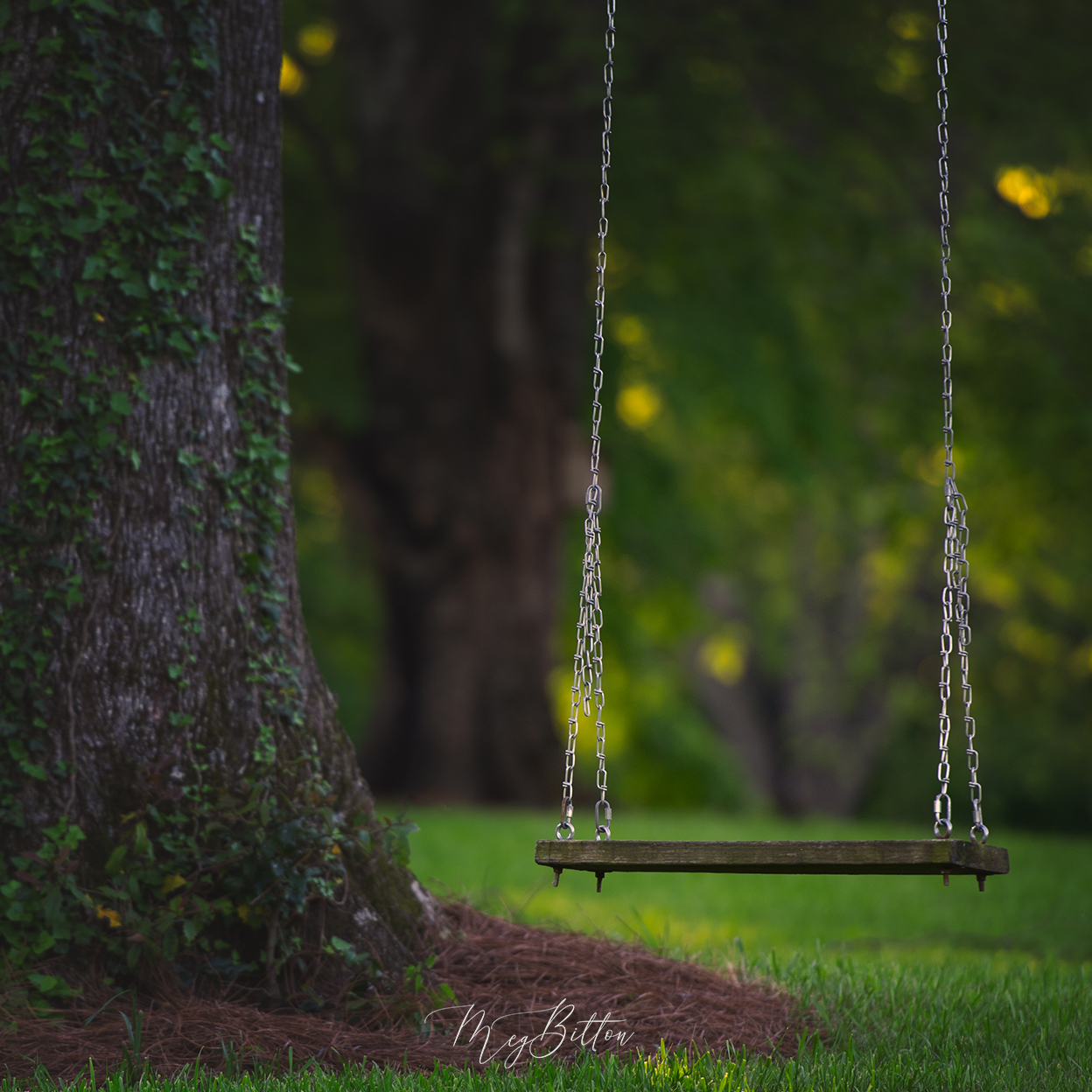 Digital Background: Sunset Swing - Meg Bitton Productions