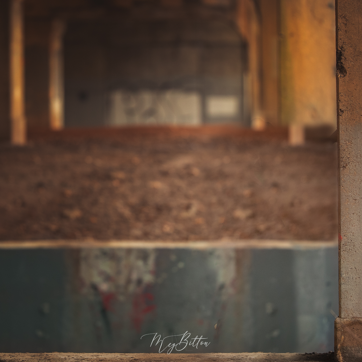 Digital Background: Sunset Under the Bridge - Meg Bitton Productions