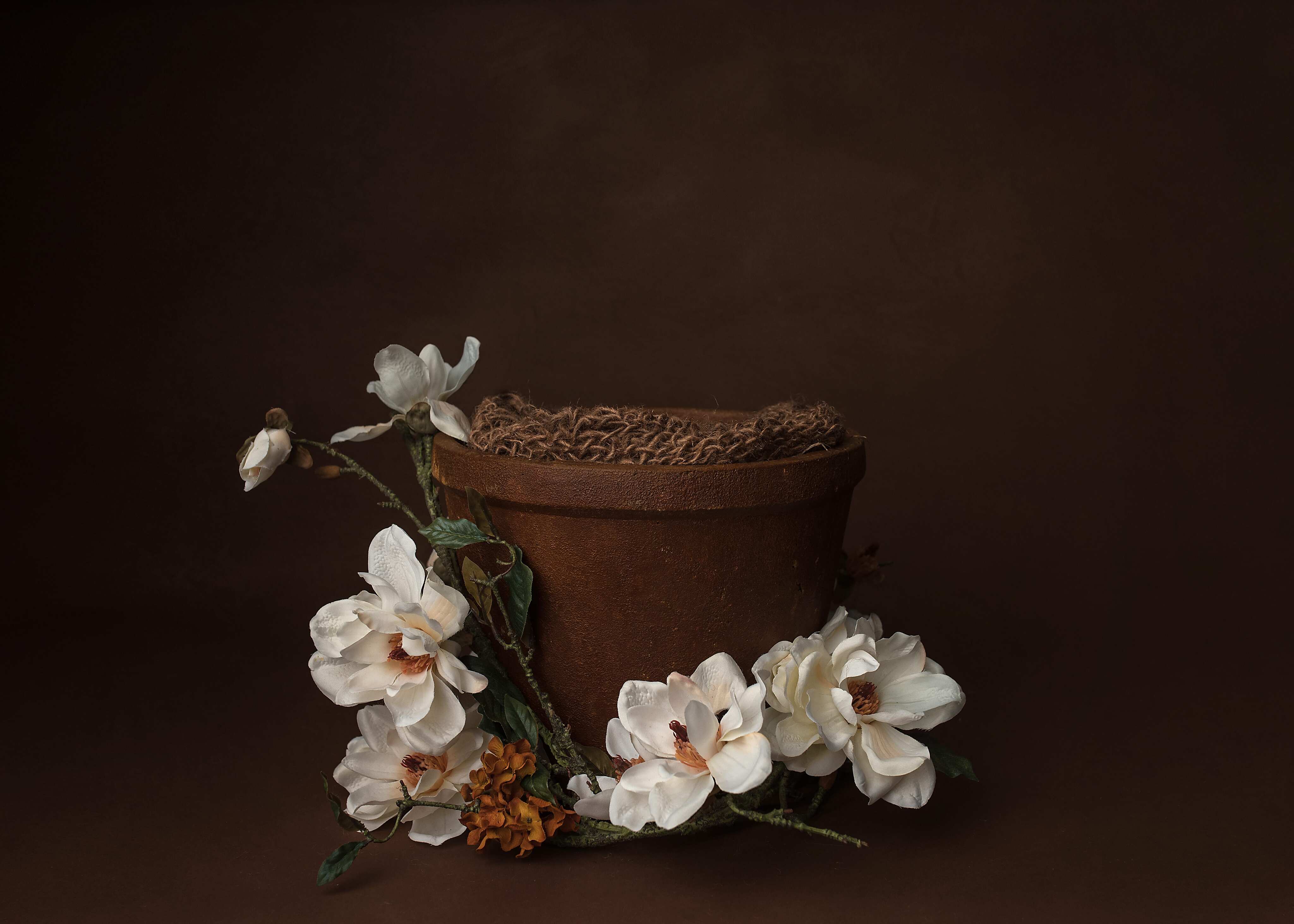 Digital Background: Terra Cotta Pot - Meg Bitton Productions