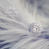 Details Bootcamp - December 2019 - Meg Bitton Productions